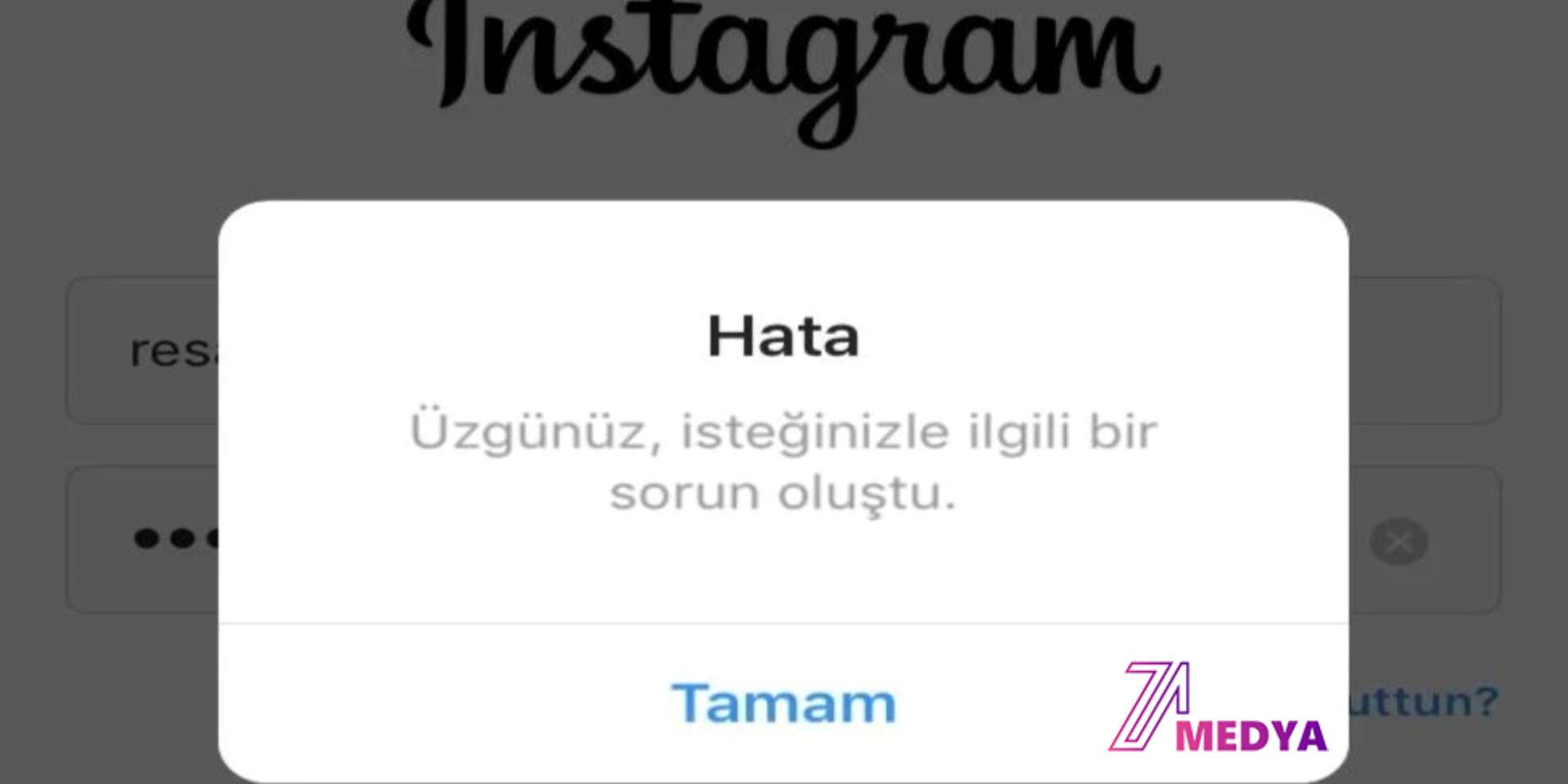 Instagram Üzgünüz İsteğinizle İlgili Bir Sorun Oluştu